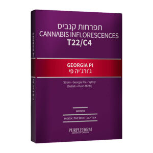 ג'ורג'יה פי (Georgia Pi) אינדיקה T22:C4