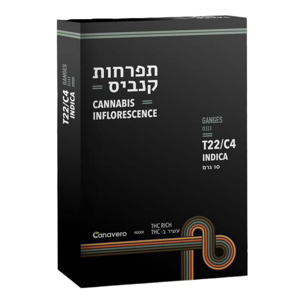 גנגס (Ganges) – אינדיקה T22/C4